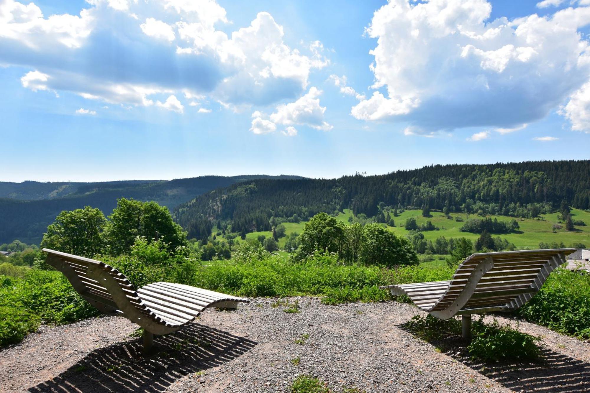 Schwarzwaldhaus Krebs - Villa Kunterbunt, Lenzkirch, Feldberg Екстер'єр фото